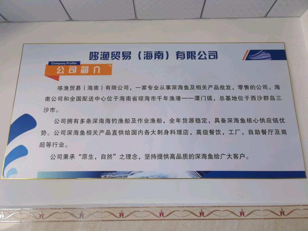 哆渔贸易(海南)有限公司