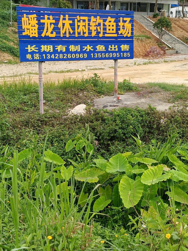 蟠龙休闲钓鱼场