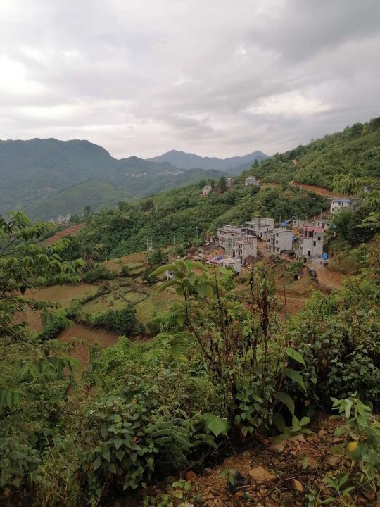 百色市隆林各族自治县