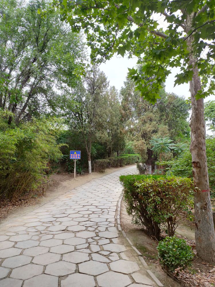 运城市园林局植物园