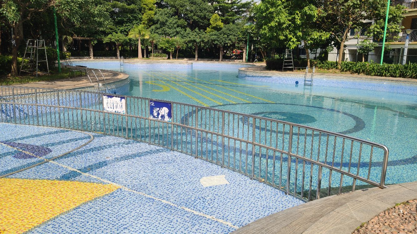 泳悦体育游泳培训