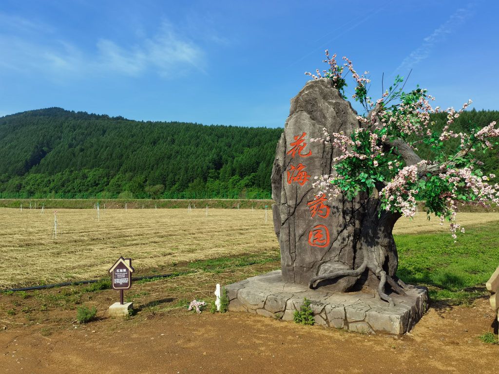 新宾房车自家车营地