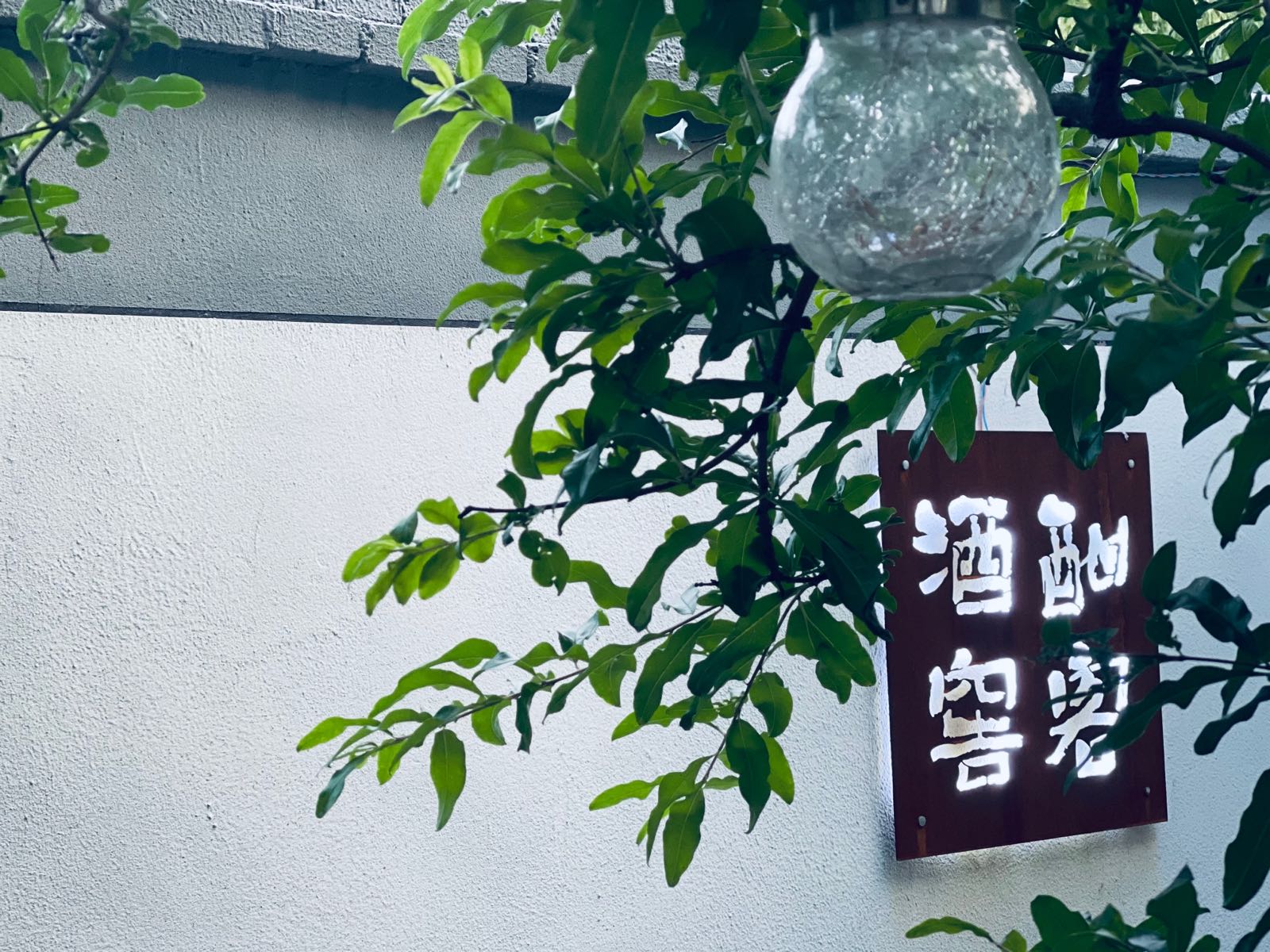 酣客问茶