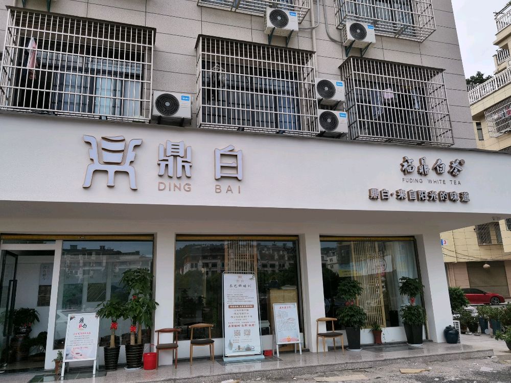 江南五区31幢鼎白白茶