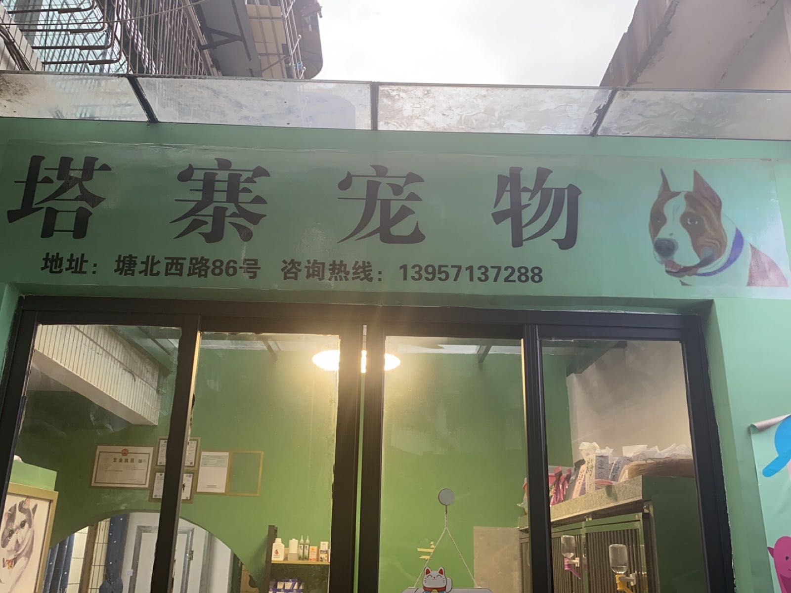 塔寨宠物店