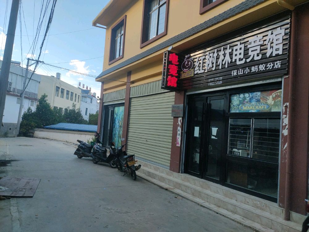 红树林电竞馆
