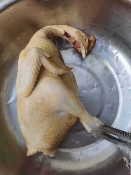 蓉鑫芸食府