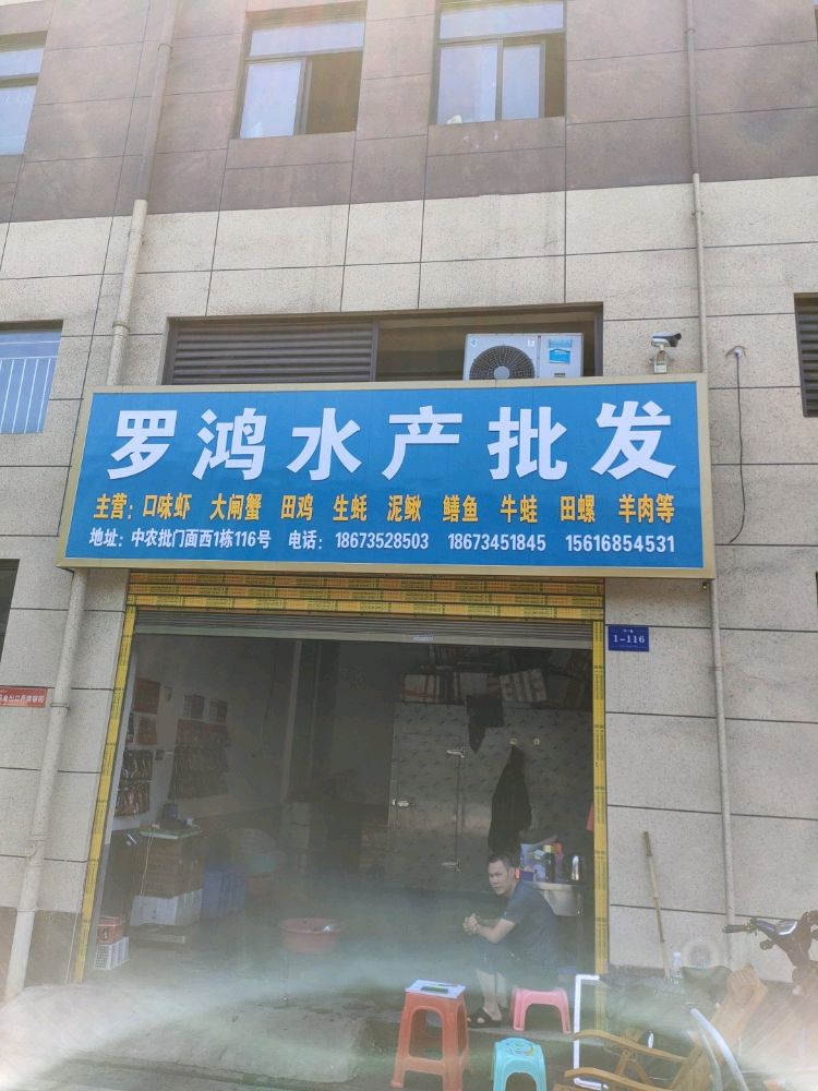 罗虹水产批发