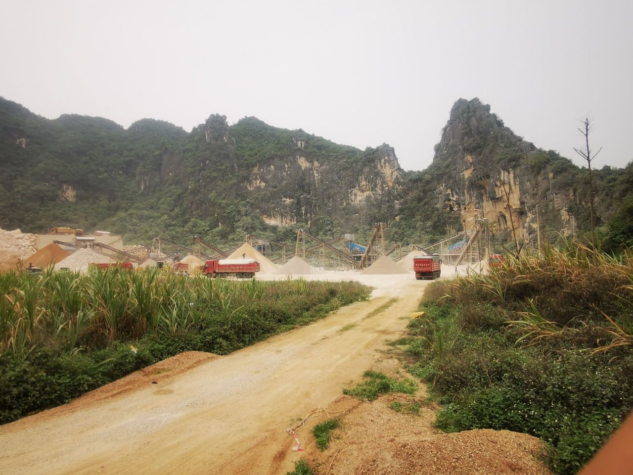 广西壮族自治区崇左市扶绥县岜盆乡那坡村