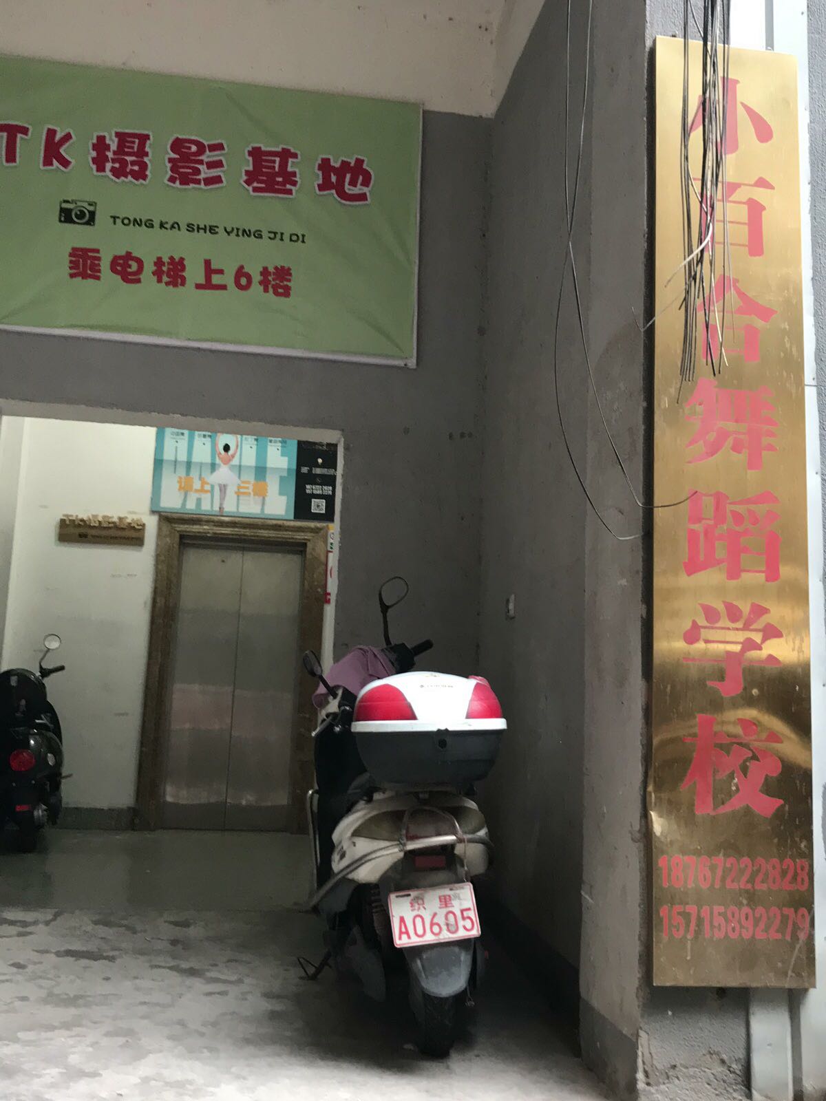 小百合舞蹈(珍贝路)