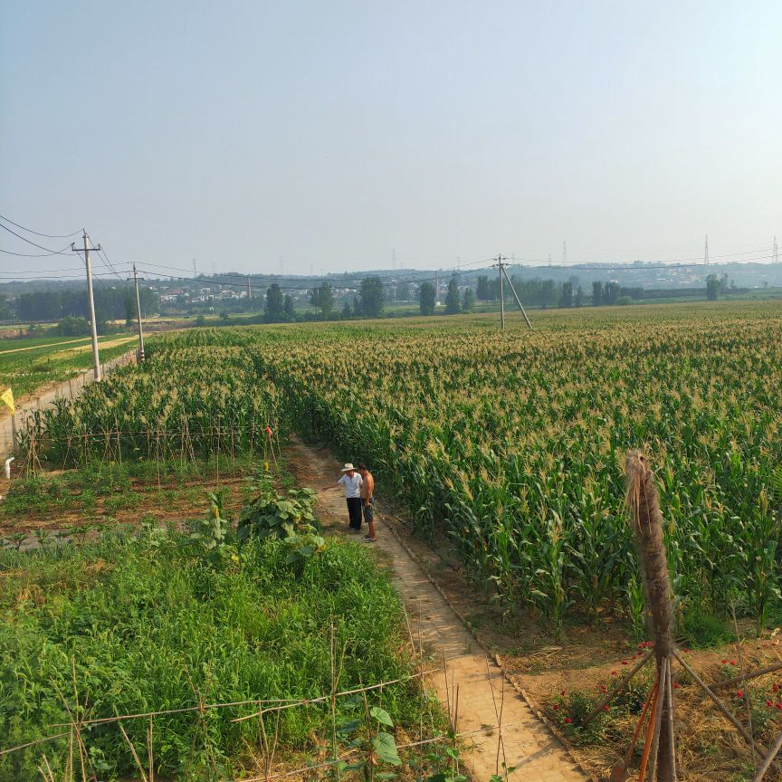 巩义市芝田益宸家庭农场