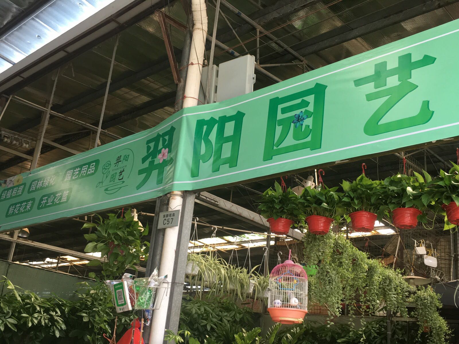 羿阳园艺(东山花鸟文化市场店)