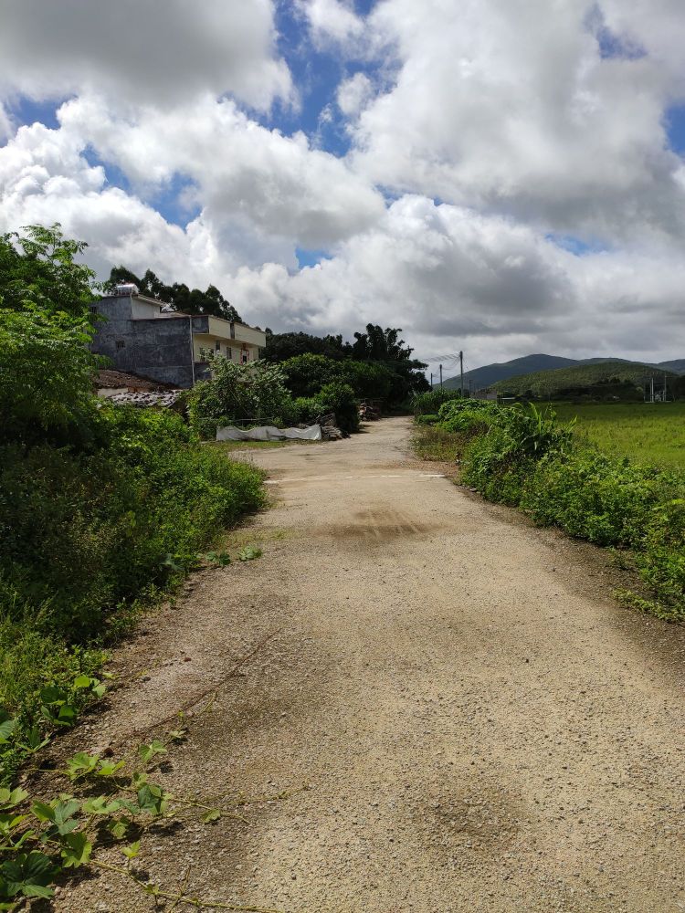 阳江市阳东区北惯镇