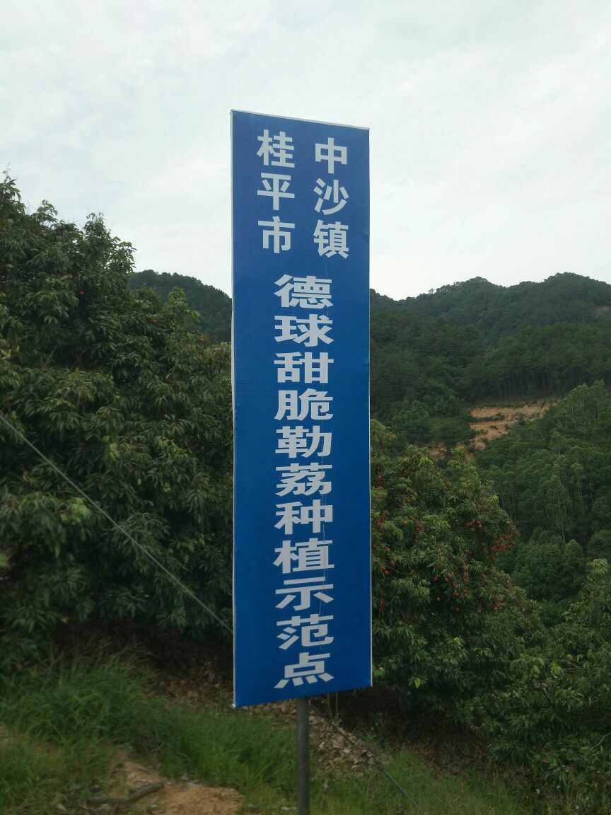 广西壮族自治区贵港市桂平市中沙镇球地村所同屯