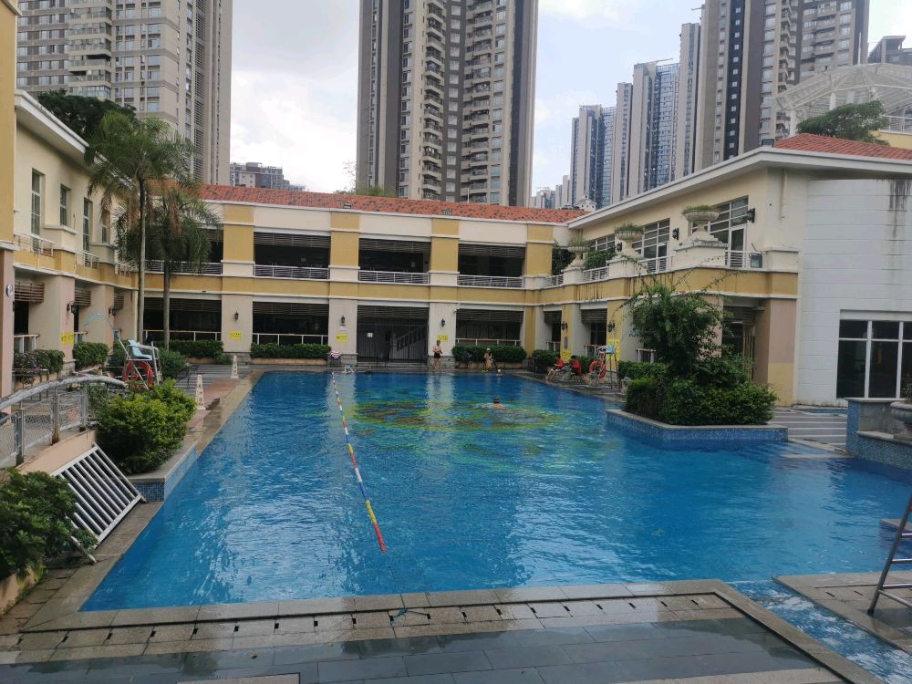 弘金地游泳池