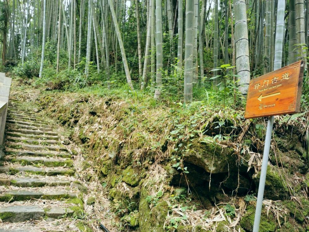 温州市平阳县苔顺线