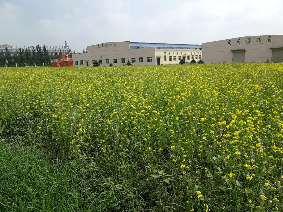 内蒙古马志全清真食品有限公司-北门