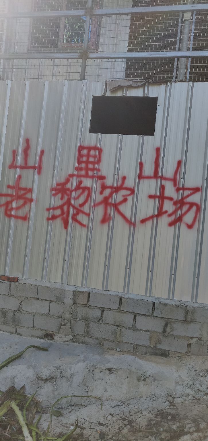 山里山老黎果地