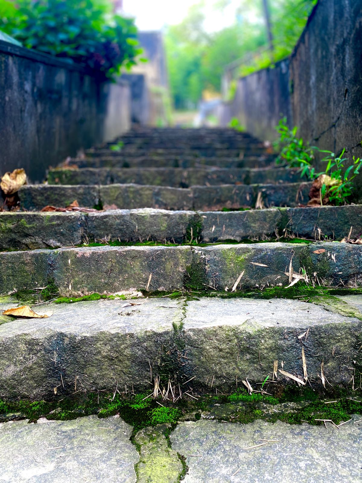 普济寺