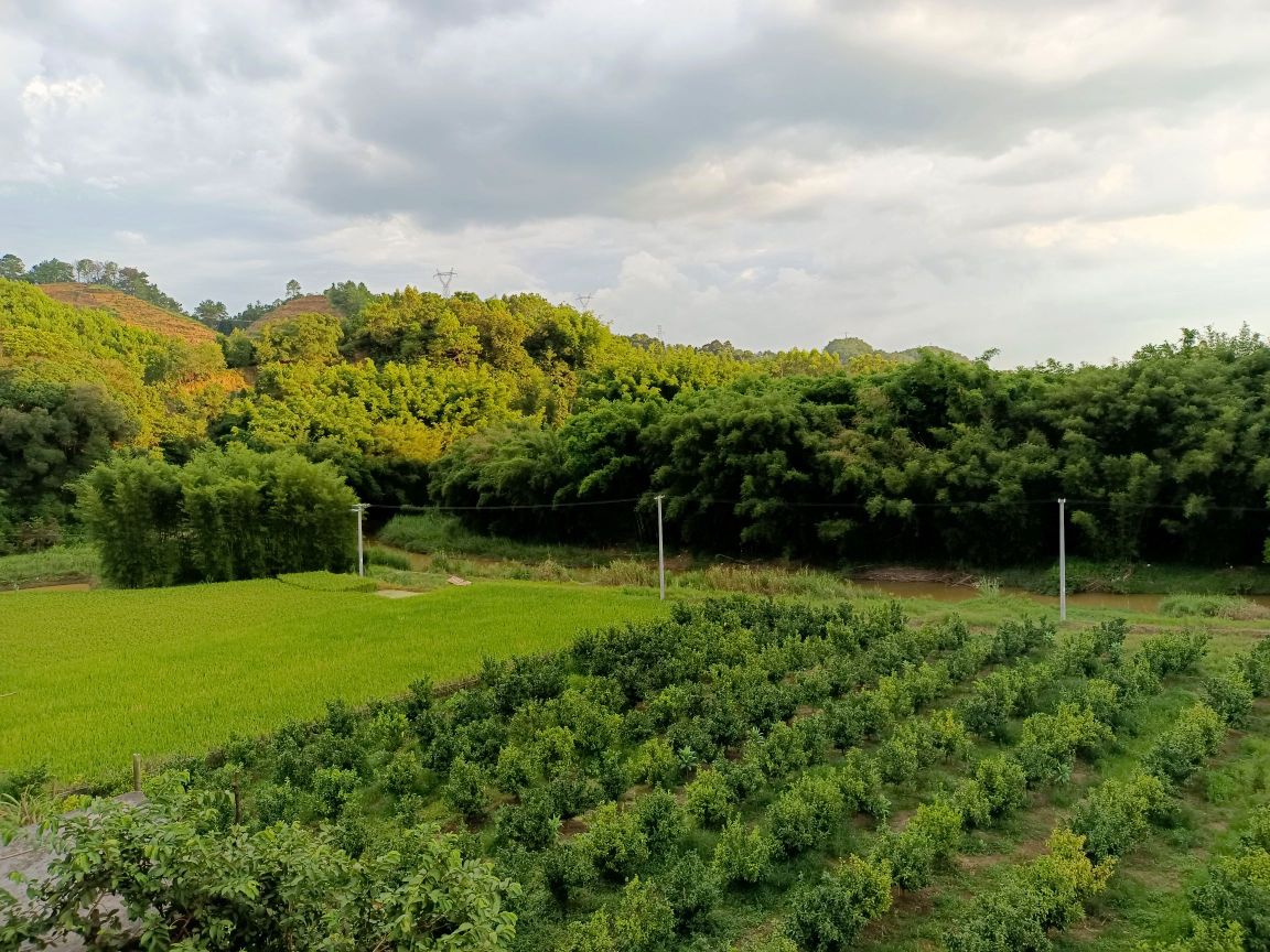 梧州市藤县