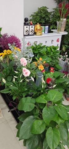 唐河县双双鲜花店