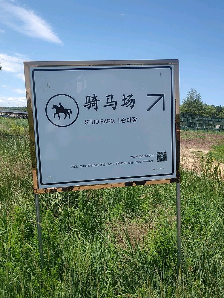 张北天保那苏图草原旅游度假区-骑马场