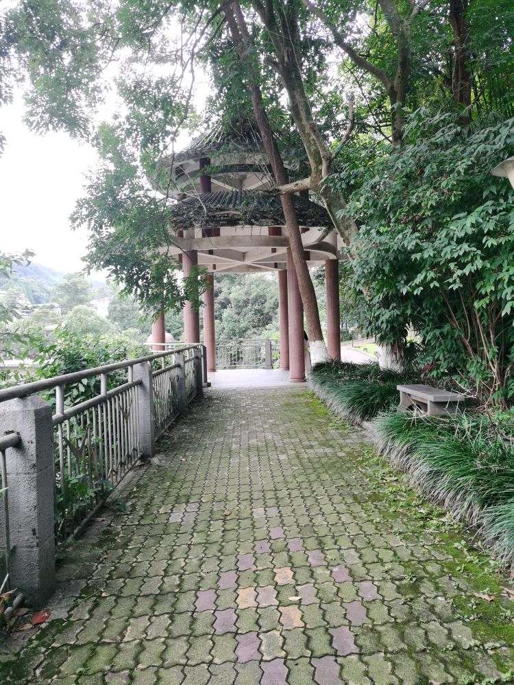 四川农也大学-老区读书走廊