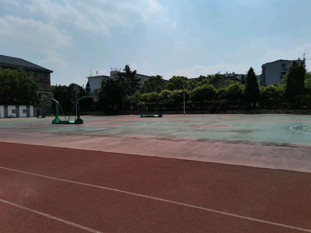 篮求场