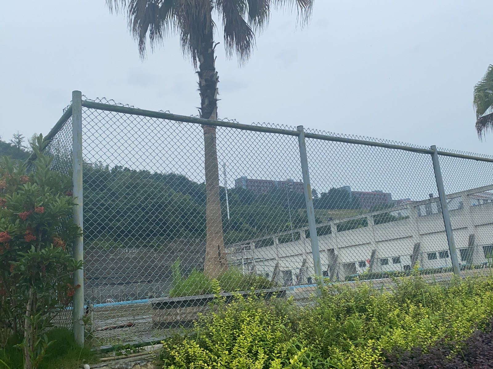 重庆三峡学校-游泳池