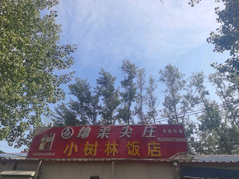 山东省菏泽市曹县桃源集镇范砦村小树林饭店