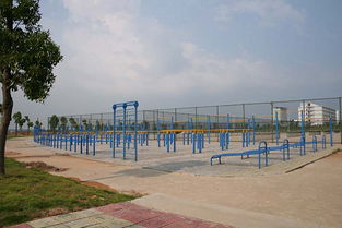 桐陵学院(育秀校区)-操场