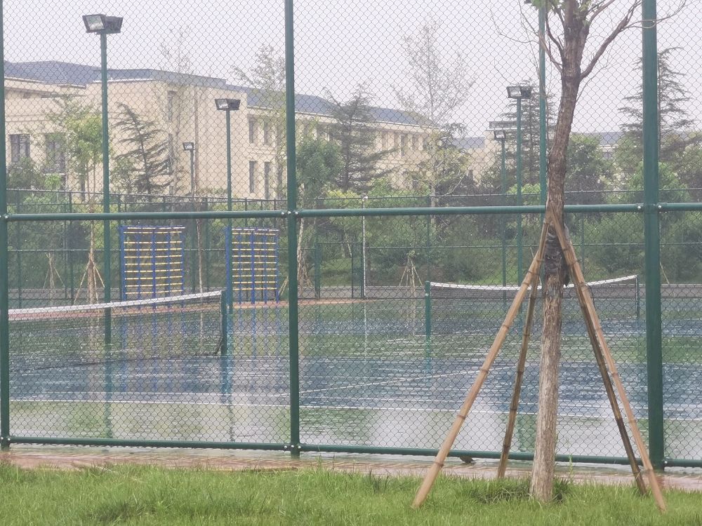 山东财金大学(圣井校区)-西运动场