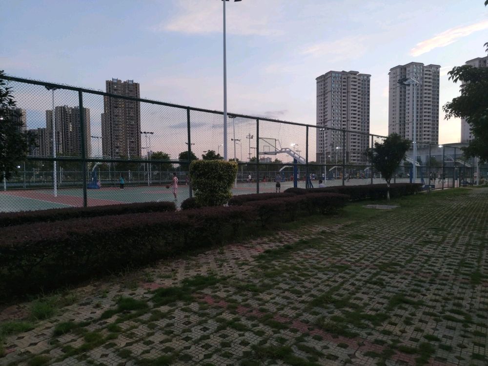 广西科技师范学院-篮球场