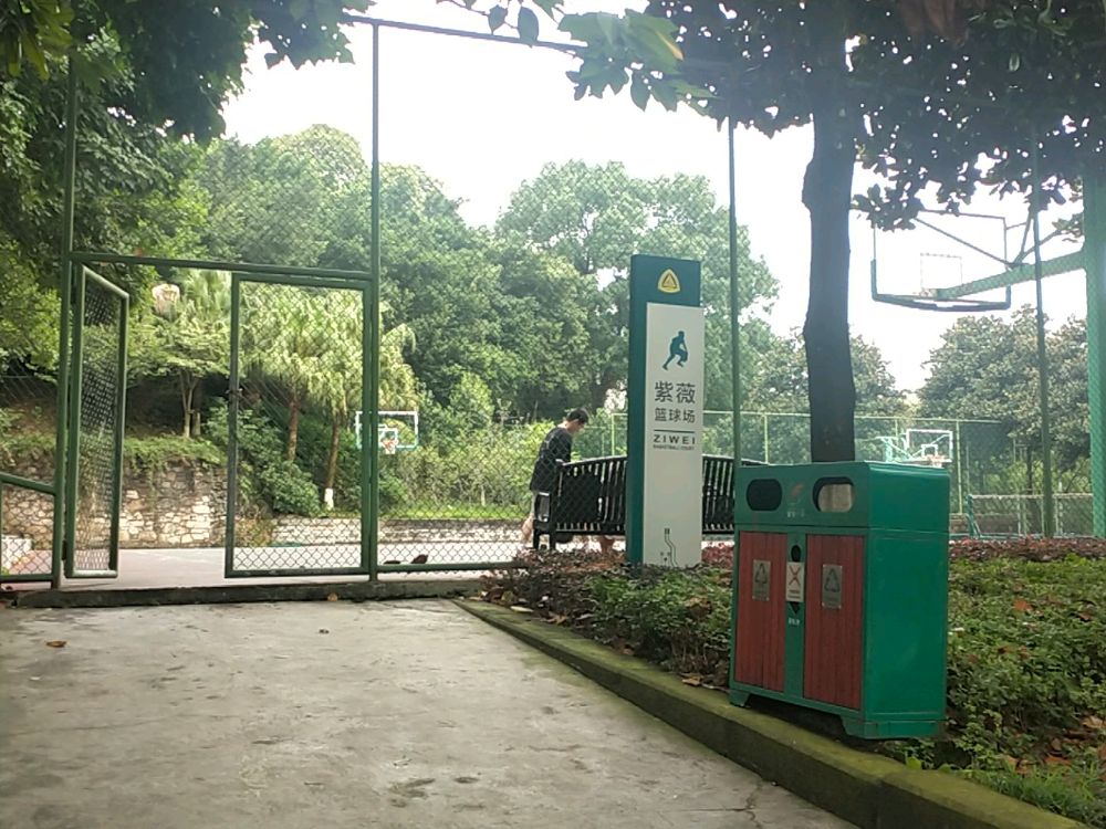 重庆邮电大学-紫薇篮球场