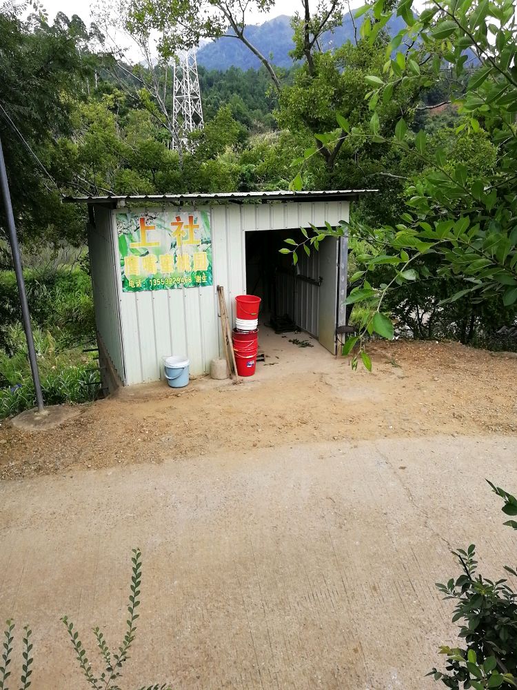 上社蜜桃园