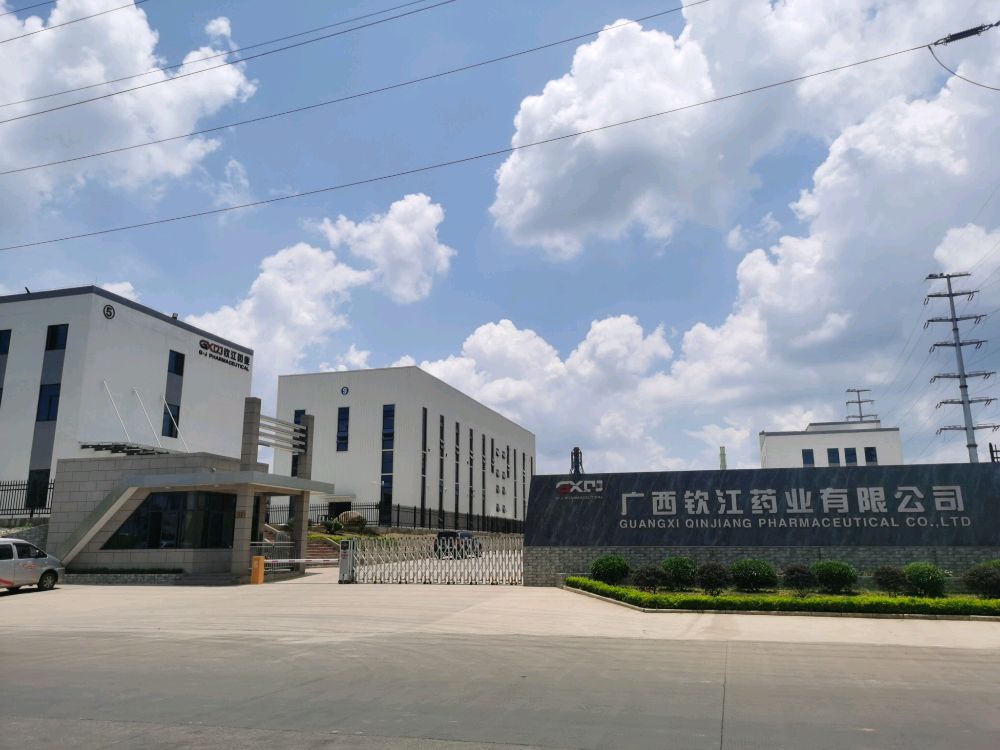 广西钦江药业有限公司