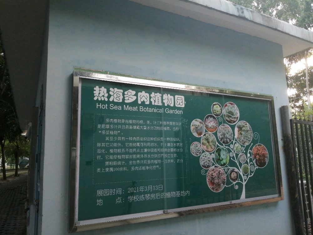 海南热带海洋学院-热海多肉植物园