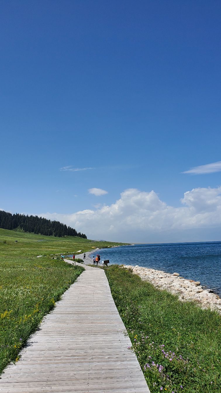 赛里木湖景区松树头停靠点