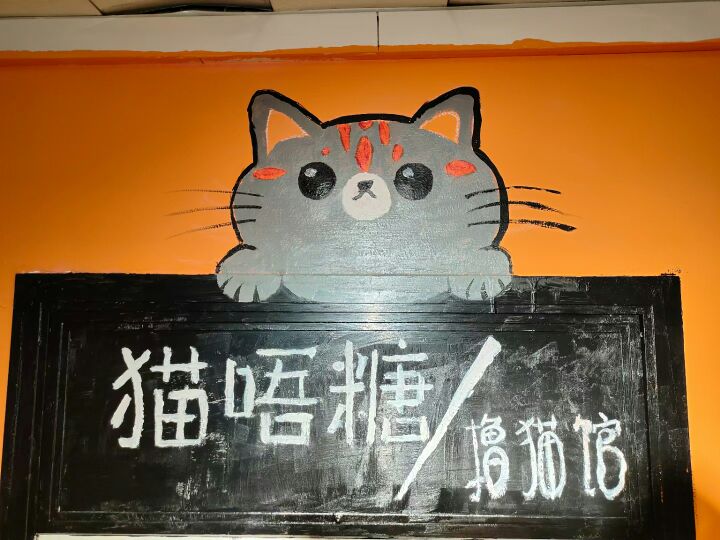 猫唔糖撸猫馆