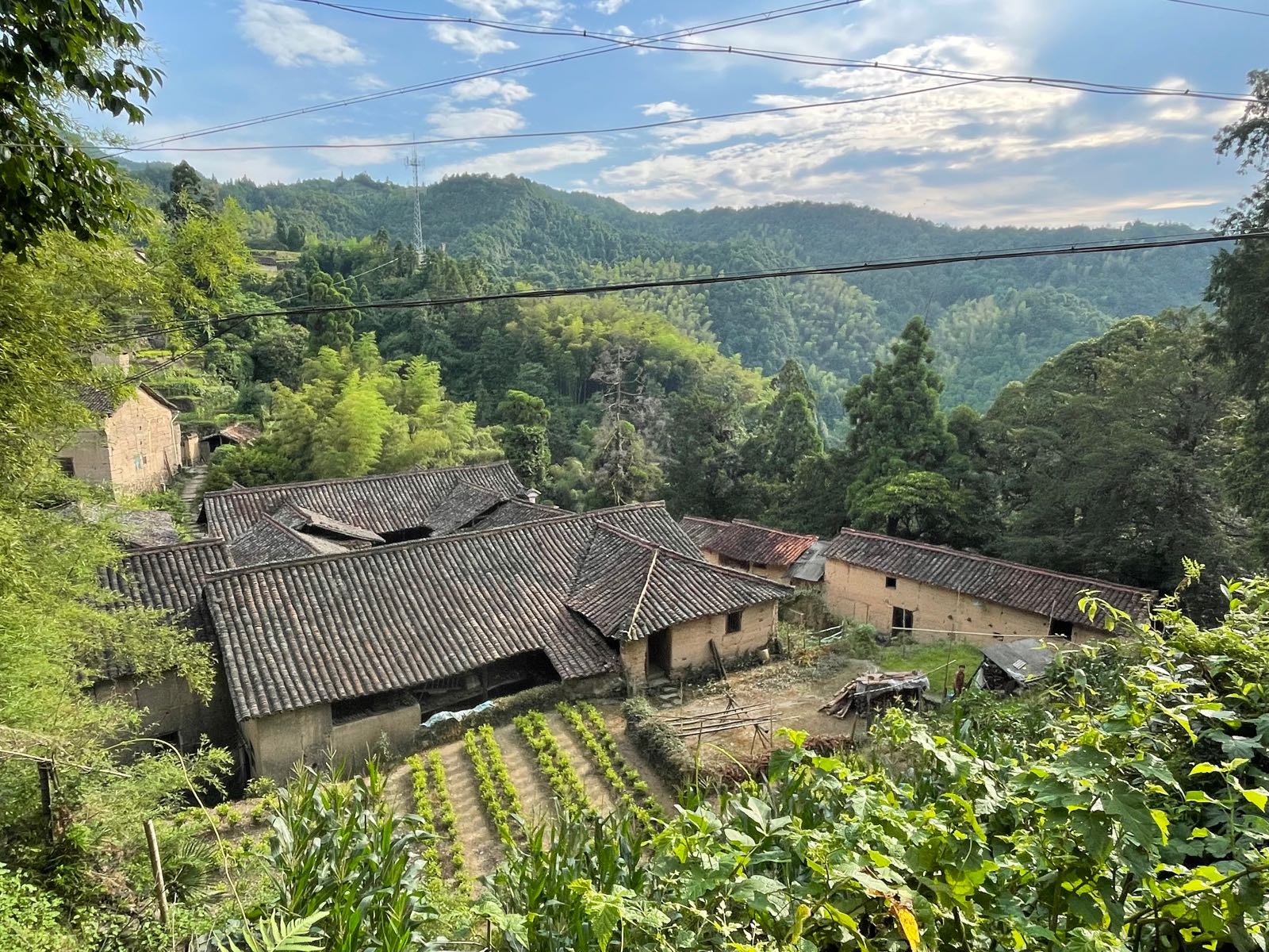 丽水市松阳县