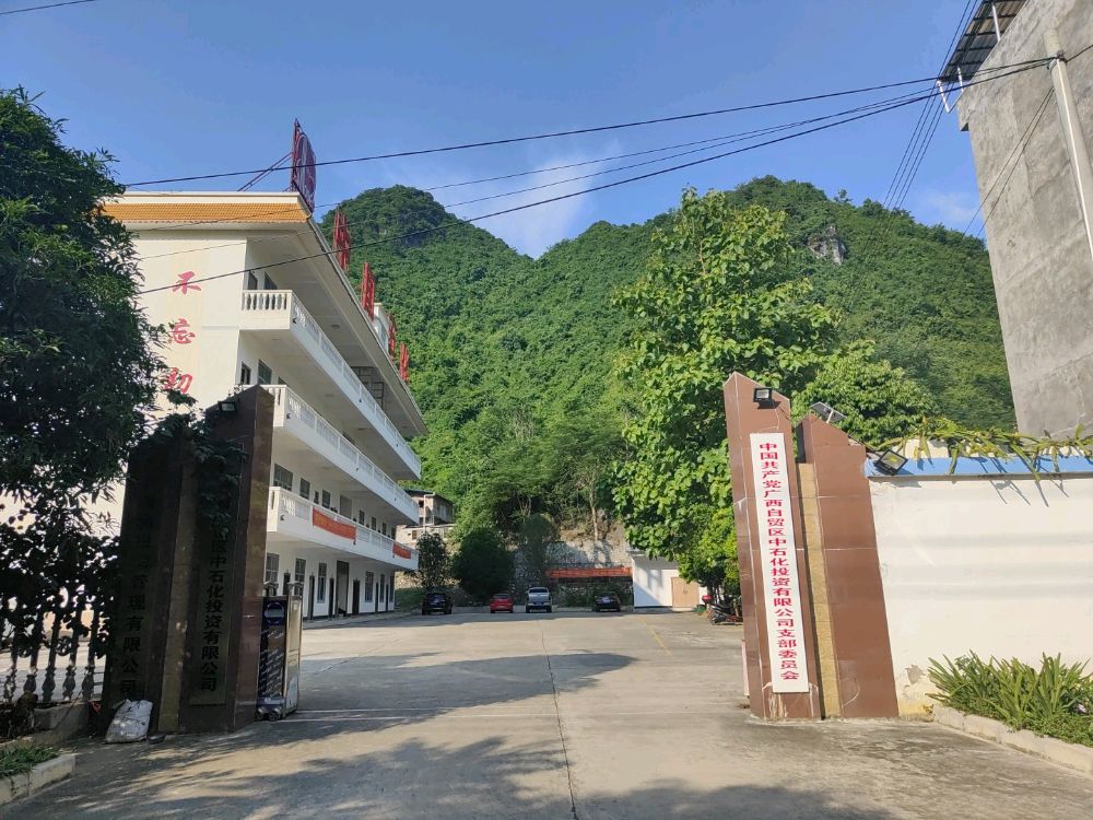 广西自贸区区中石化投资有限公司
