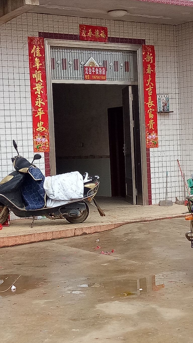 龙河平食杂店
