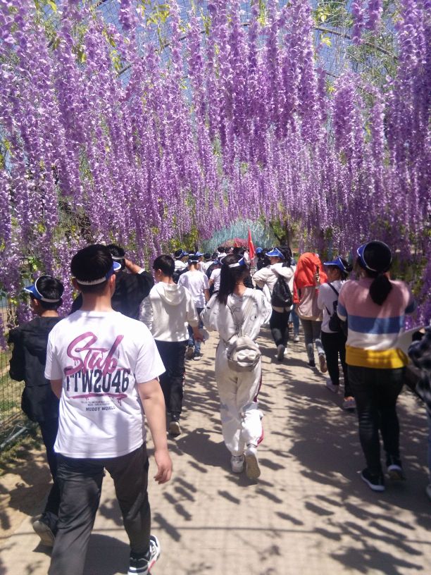 老乐山旅游度假村-售票处