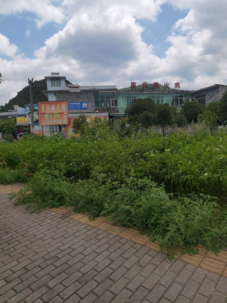 独山重村庆柴火鸡(石牛路店)