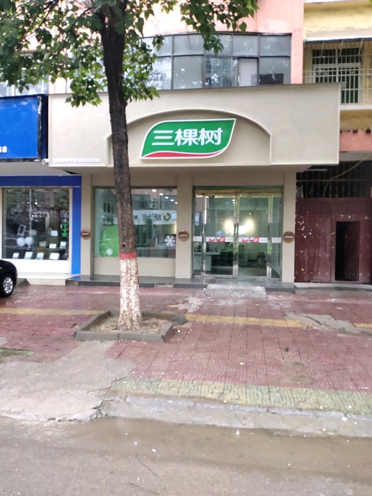 鹿邑县三棵树(武平路店)