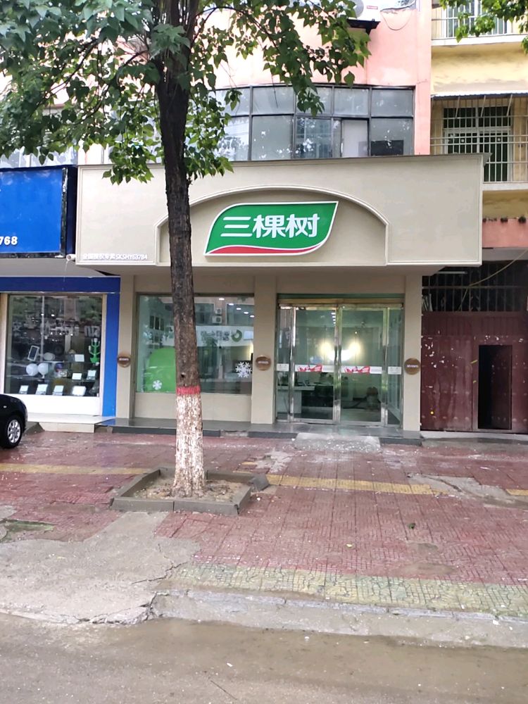 鹿邑县三棵树(武平路店)