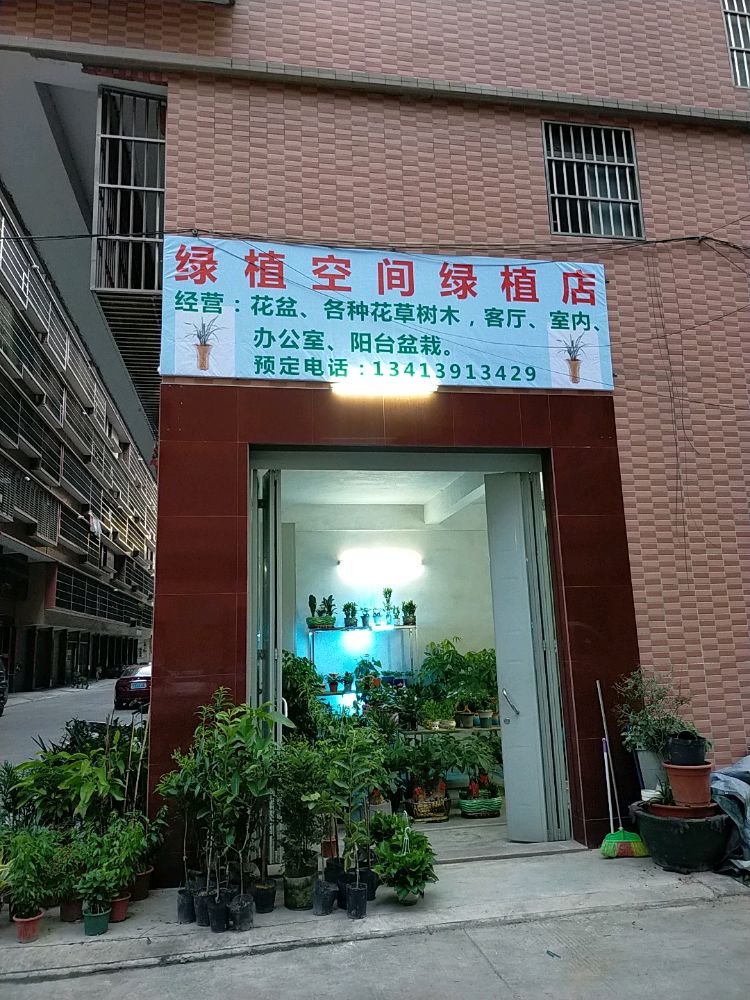 绿植空间绿植店