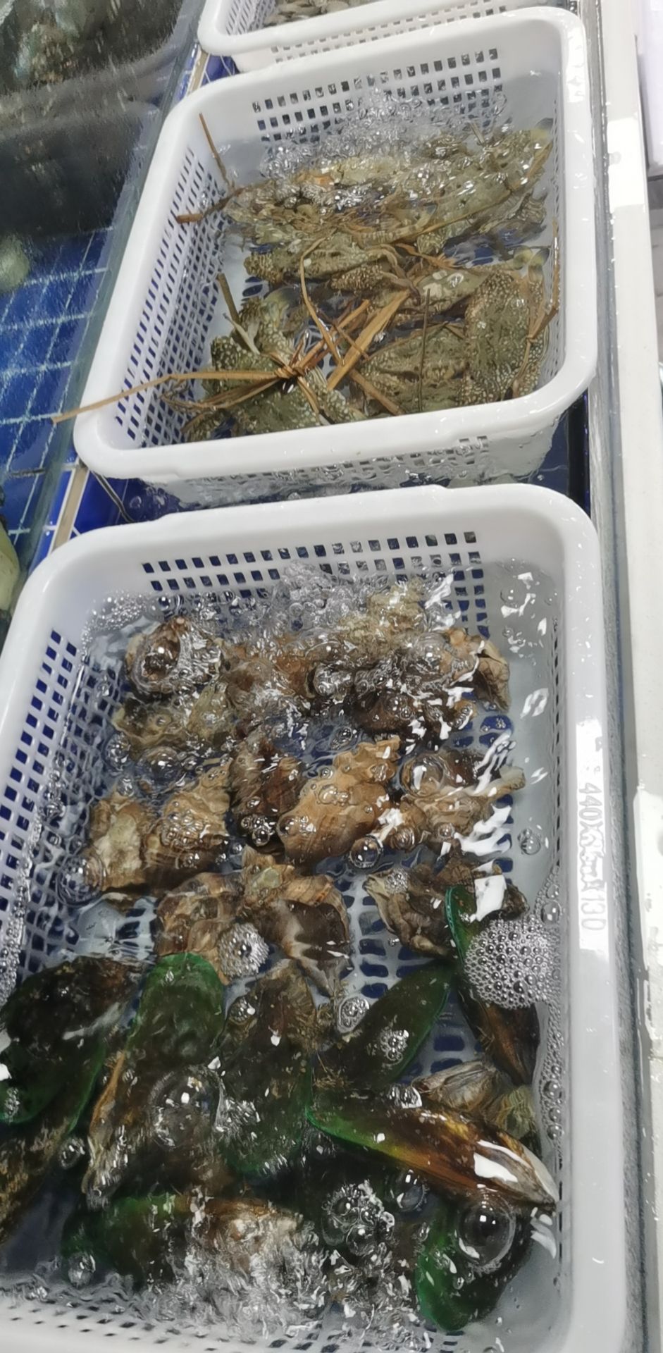 何记海鲜总批发