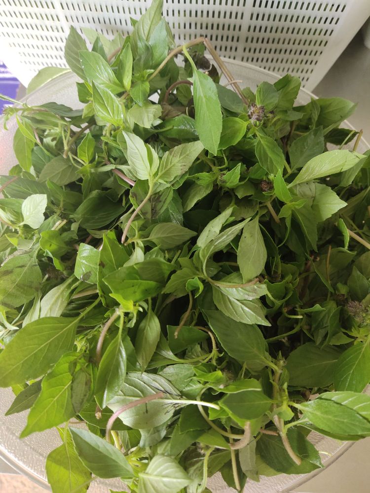 新福源羊肉米线馆