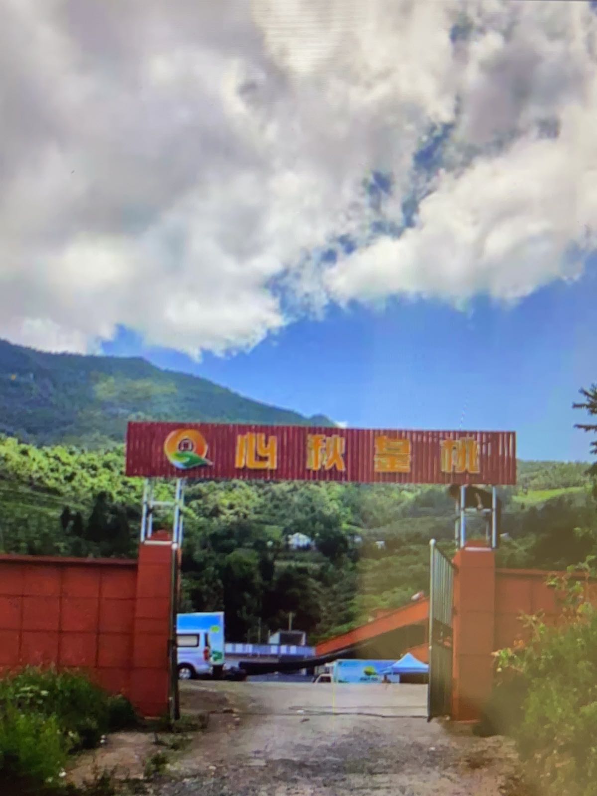 心农社业办公室